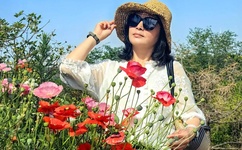 全世界都盼着我们离婚